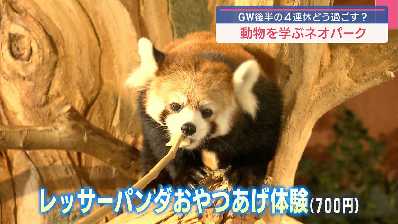 GWおすすめスポット 本島北部編