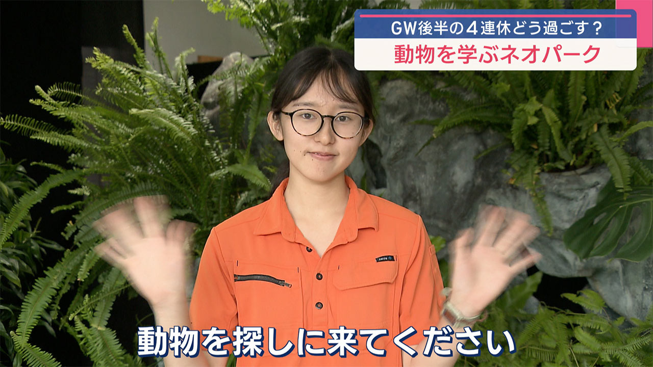 GWおすすめスポット 本島北部編