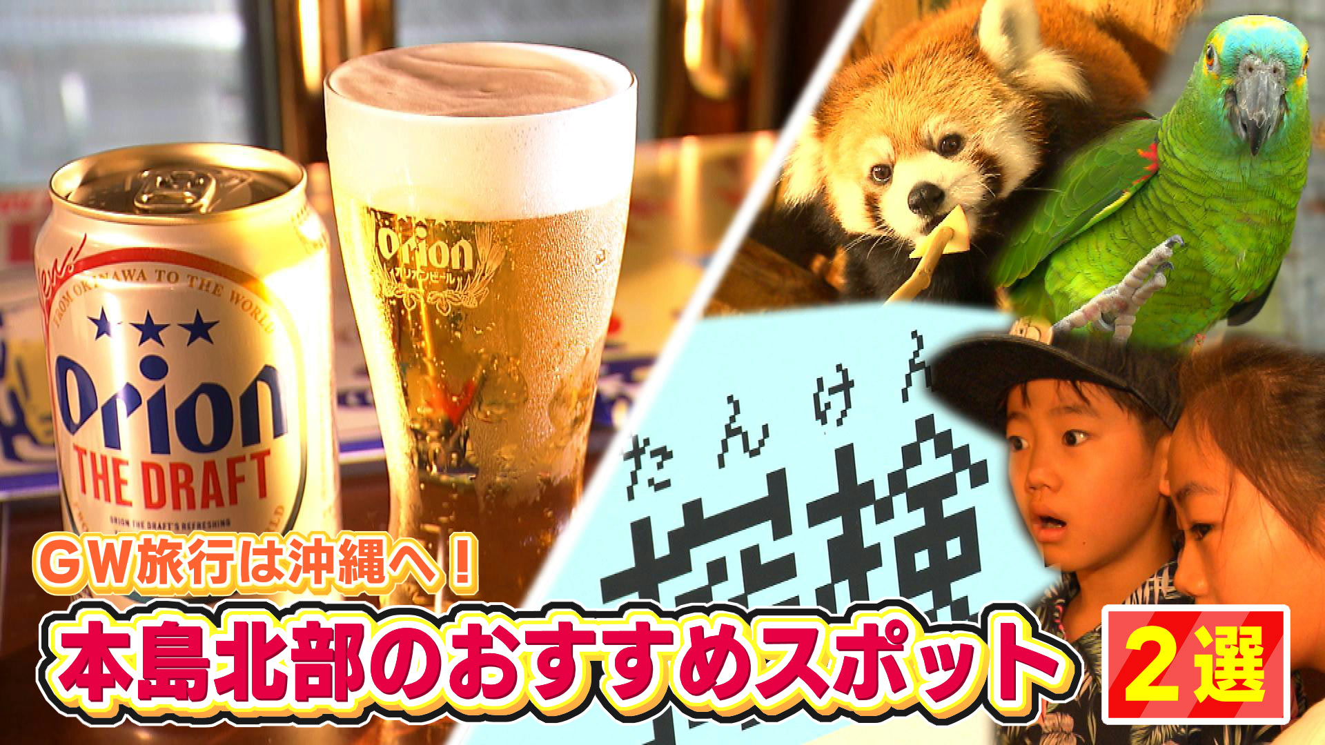GWおすすめスポット　本島北部編