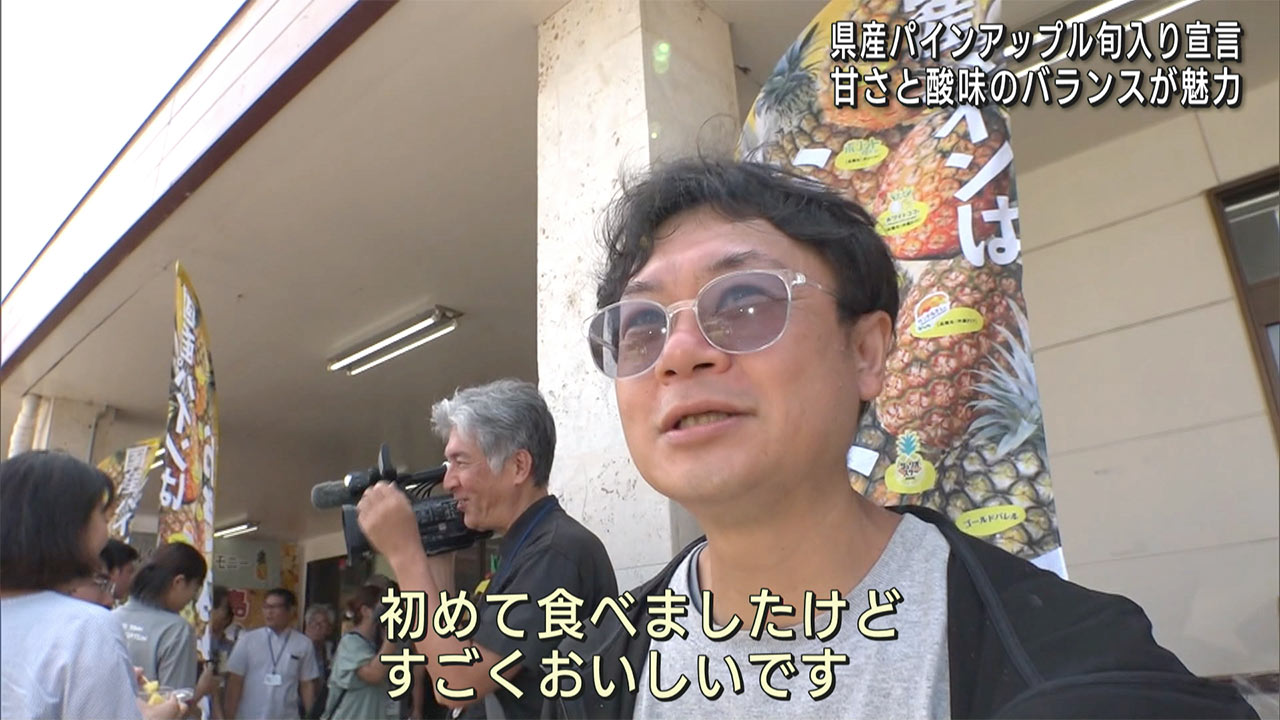八重山でパインアップルの旬入り宣言