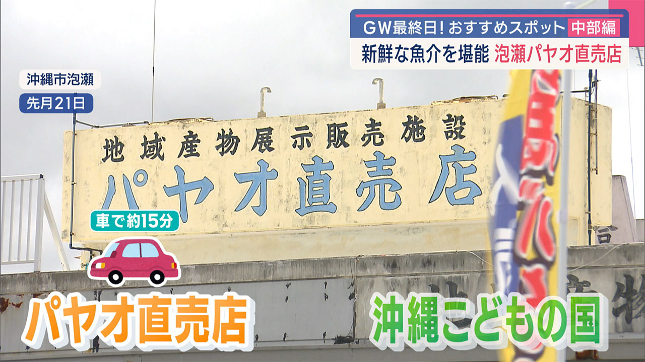 GWおすすめスポット中部編!「沖縄こどもの国&泡瀬パヤオ直売店」