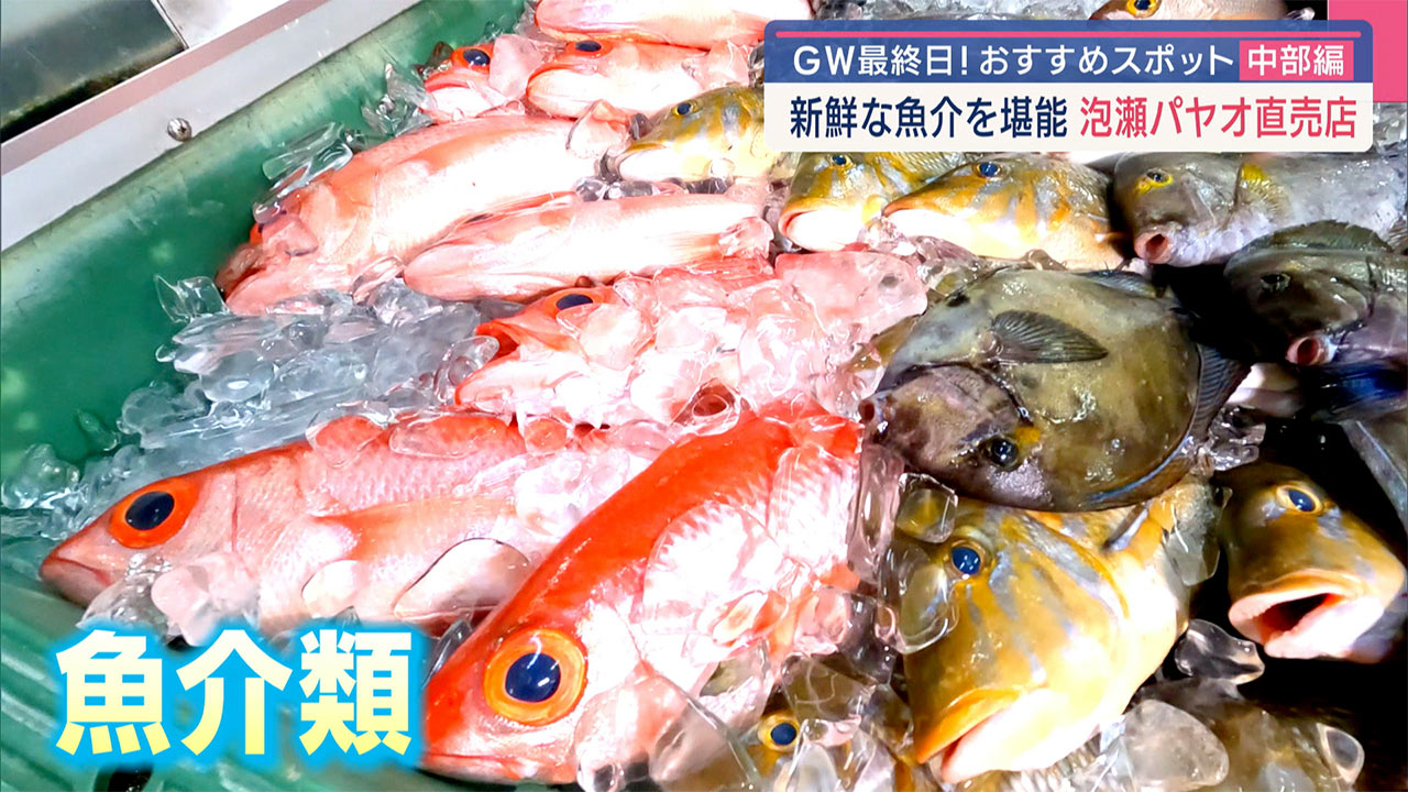 GWおすすめスポット中部編!「沖縄こどもの国&泡瀬パヤオ直売店」