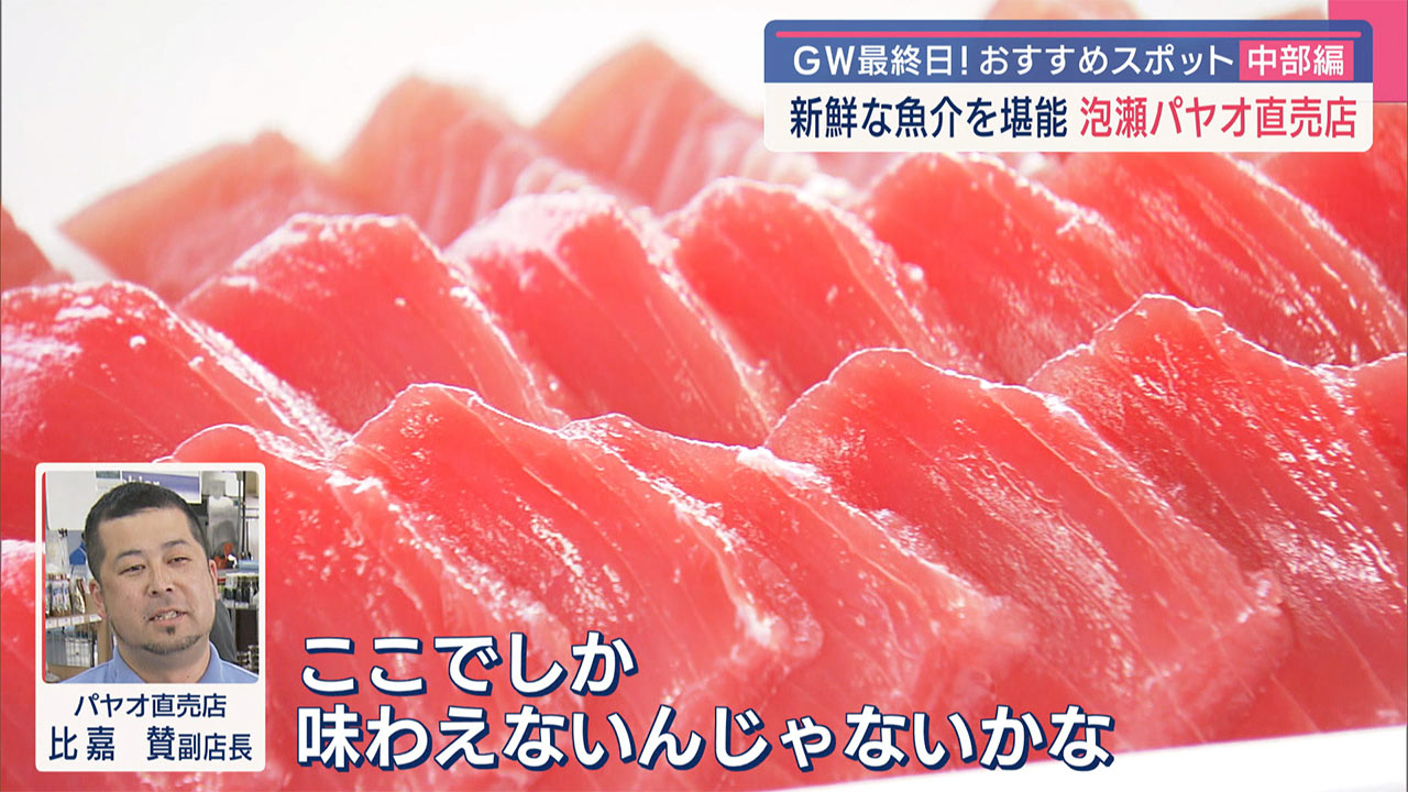 GWおすすめスポット中部編!「沖縄こどもの国&泡瀬パヤオ直売店」