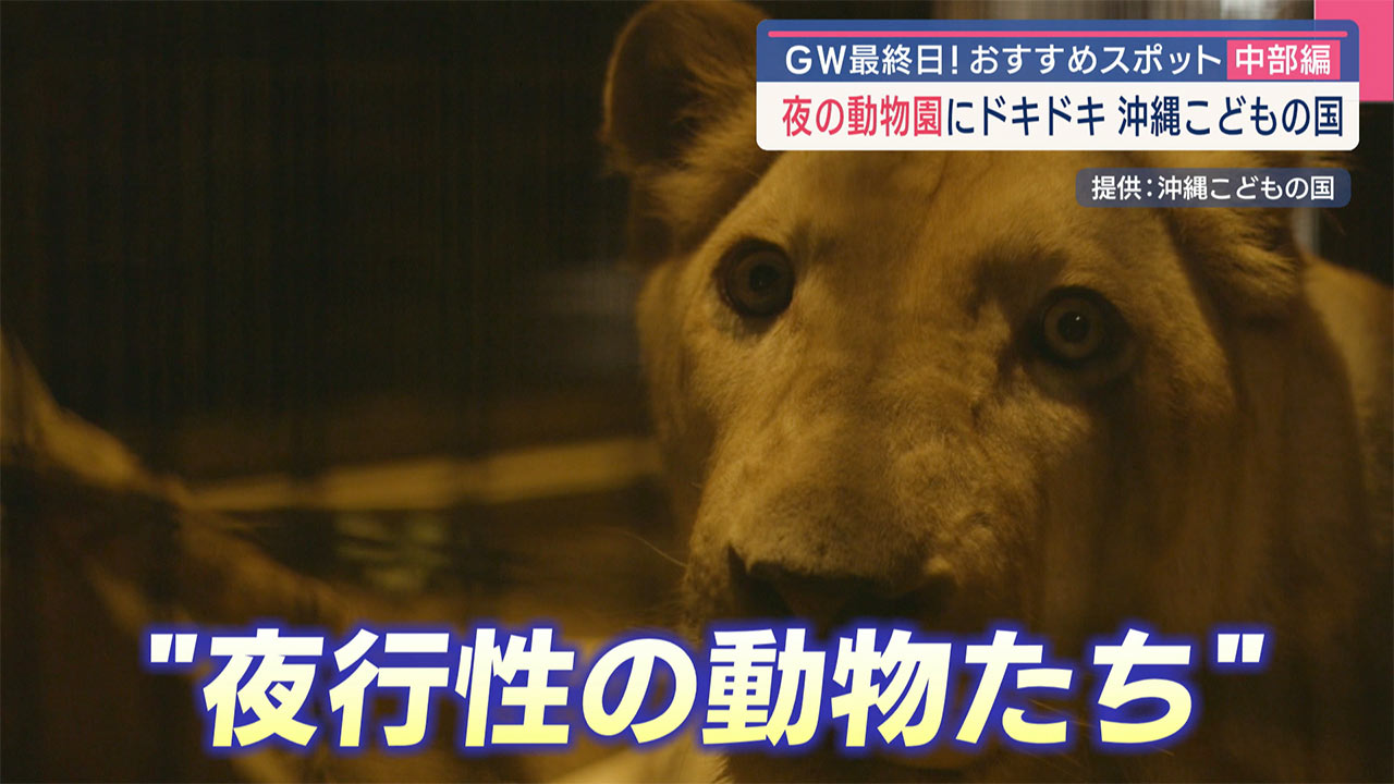 GWおすすめスポット中部編!「沖縄こどもの国&泡瀬パヤオ直売店」
