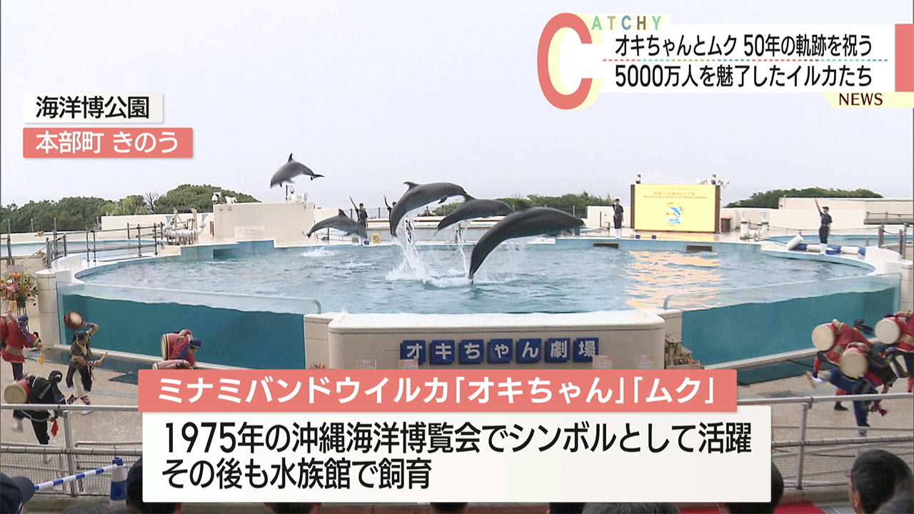 沖縄美ら海水族館が飼育の「オキちゃん」と「ムク」飼育５０年で記念式典