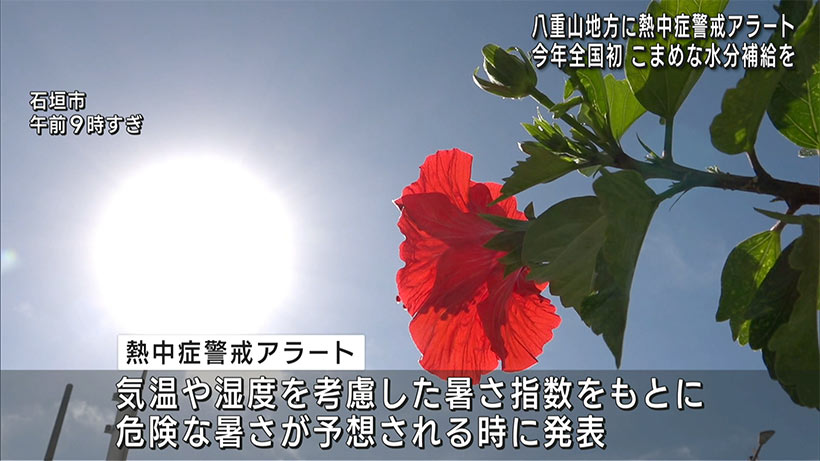 八重山地方に熱中症警戒アラート発表/今年初/暑さ対策を万全に！