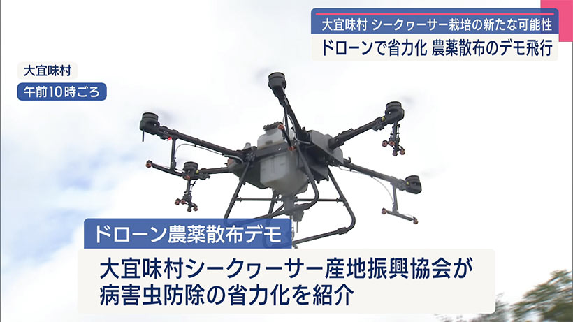 ドローンを使った防除の検討会／大宜味のシークヮーサー農場