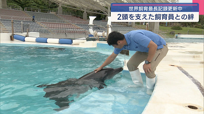 ミナミバンドウイルカオキちゃんとムクの物語