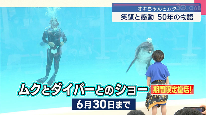 ミナミバンドウイルカオキちゃんとムクの物語
