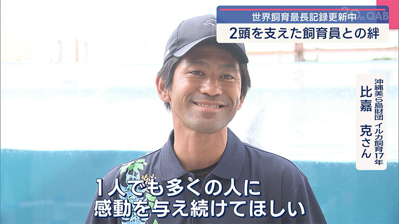 ミナミバンドウイルカオキちゃんとムクの物語