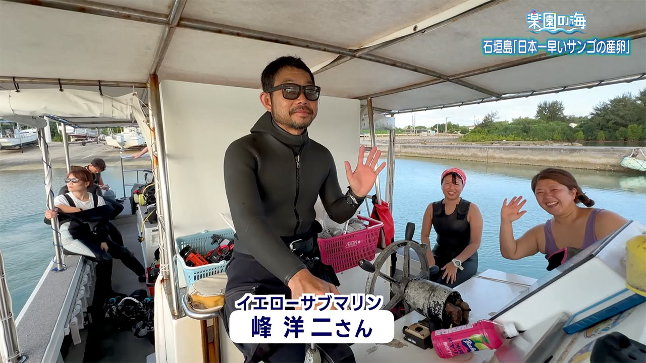 楽園の海 石垣島「日本一早いサンゴの産卵」