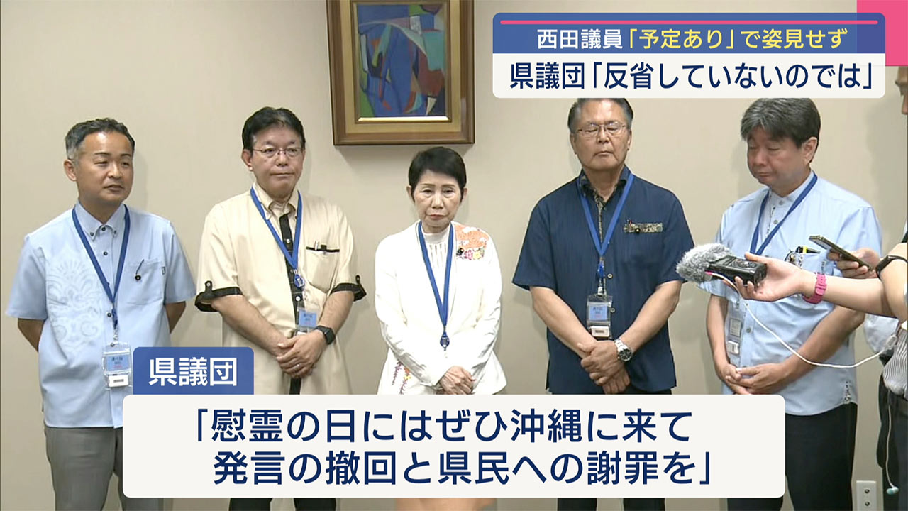 西田議員は姿見せず 県議団が上京し「ひめゆり発言」に抗議する要請行動