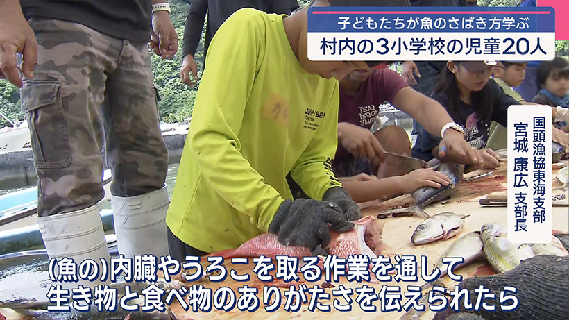 安田漁港で魚さばき体験