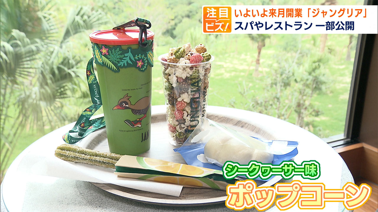 注目ビズ「ジャングリア沖縄」県民の反応は?