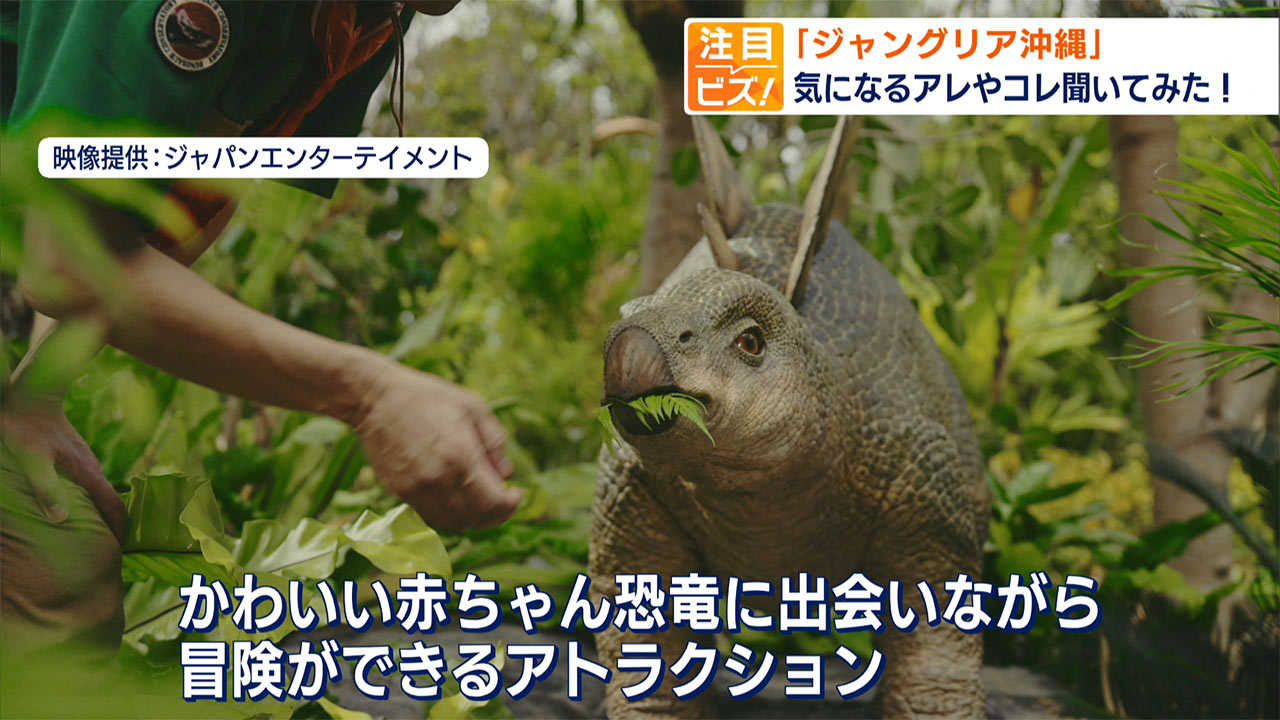 注目ビズ「ジャングリア沖縄」県民の反応は?