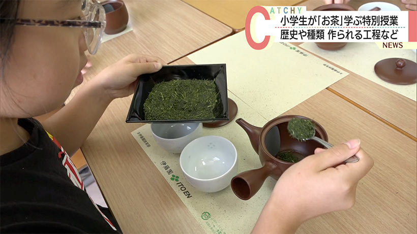 小学生が「お茶」を学ぶ特別授業