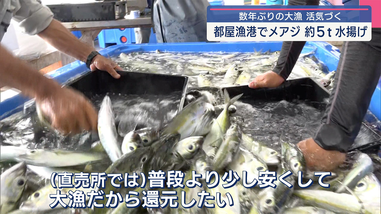メアジが約５トン！都屋漁港で大漁