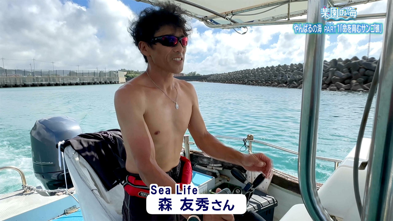 楽園の海「やんばるの海パート1 ~命を育むサンゴ礁~」