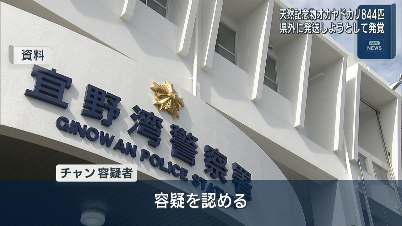 天然記念物のオカヤドカリ８４４匹違法に持ち出した疑い　ベトナム国籍の男を逮捕　自宅でも約１７００匹発見