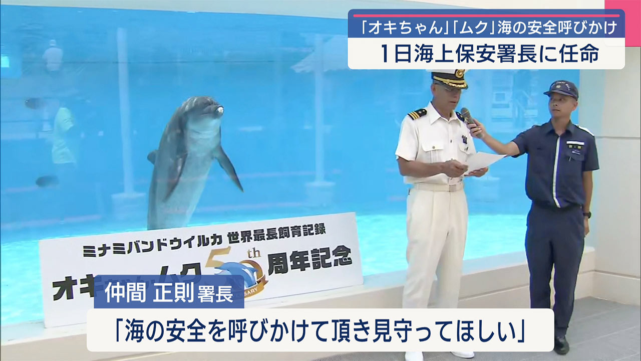 沖縄美ら海水族館「オキちゃん」「ムク」が１日名護海上保安署長