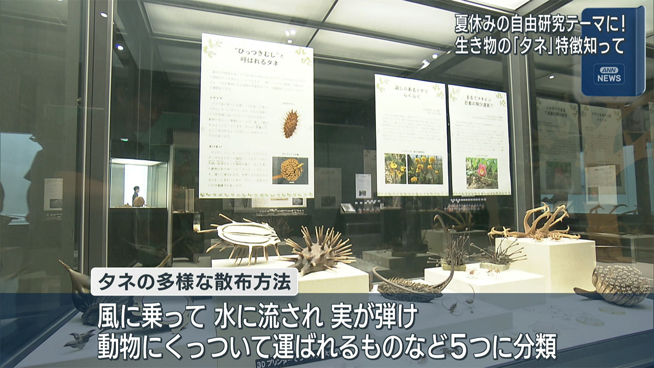 夏休みの自由研究に　世界の珍しいタネ展