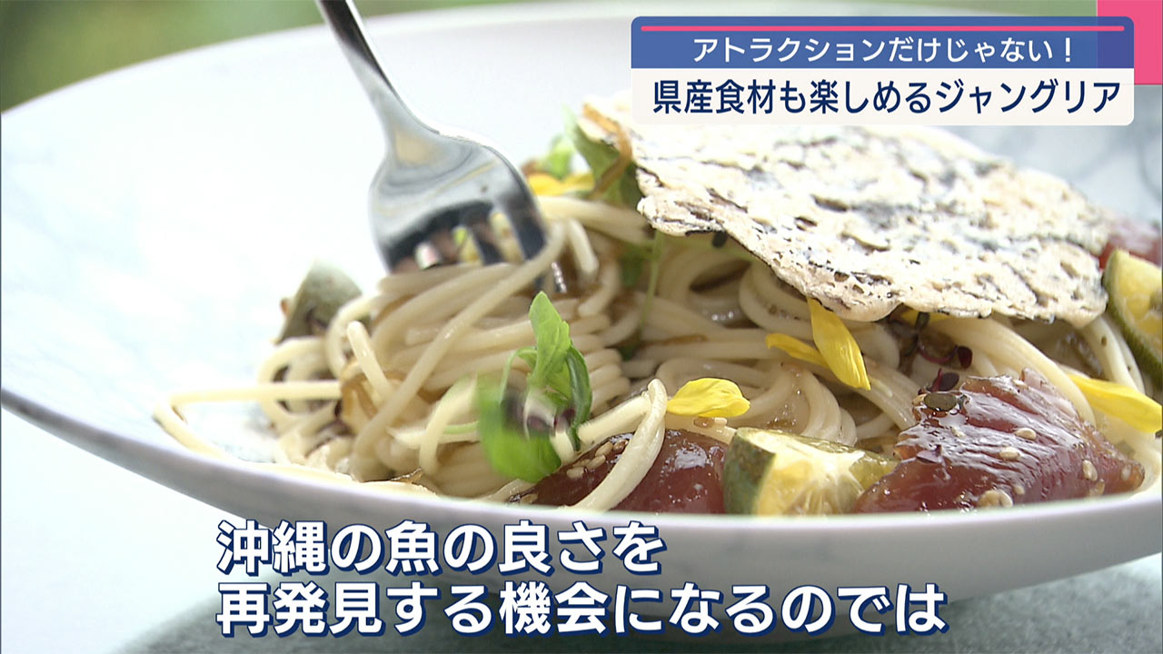 ジャングリア開業から10日「食」のテーマパークとしても期待/ビジネスキャッチー