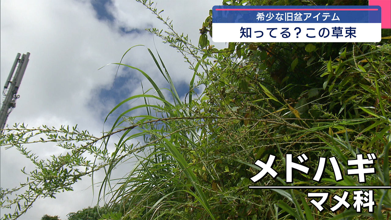 旧盆の希少な供え物「ソーローメーシ」とは!?