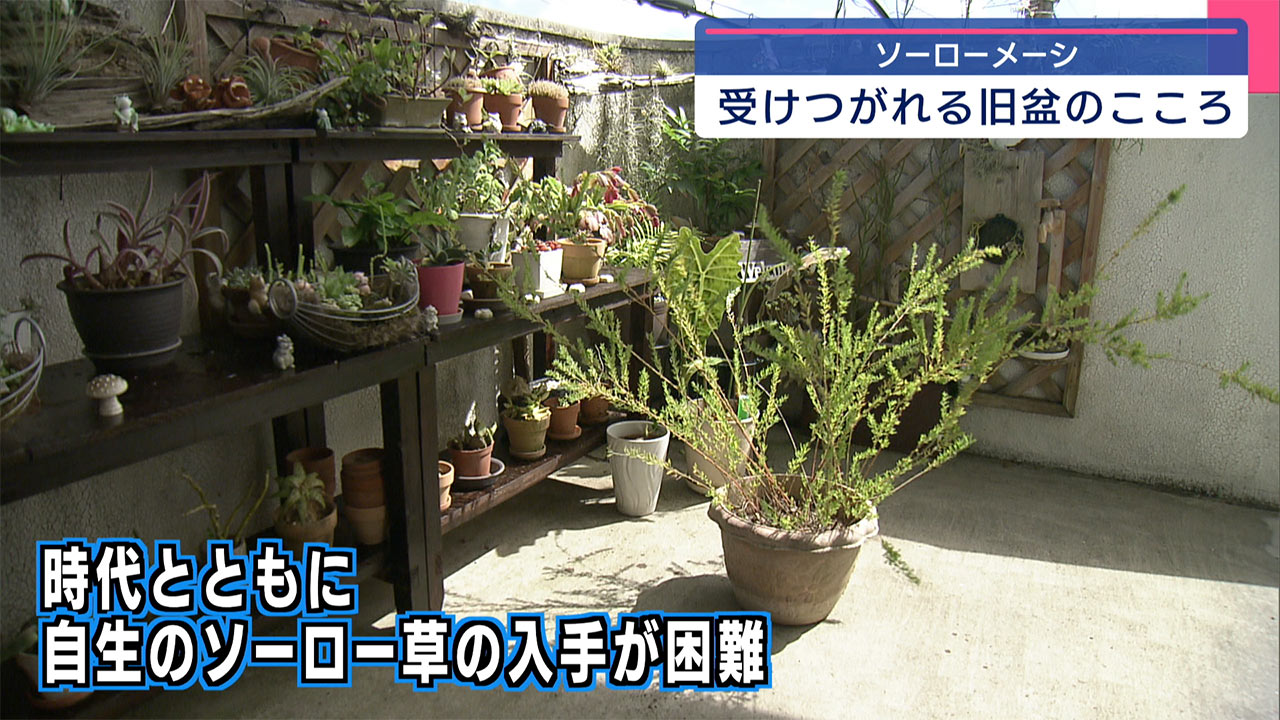 旧盆の希少な供え物「ソーローメーシ」とは!?