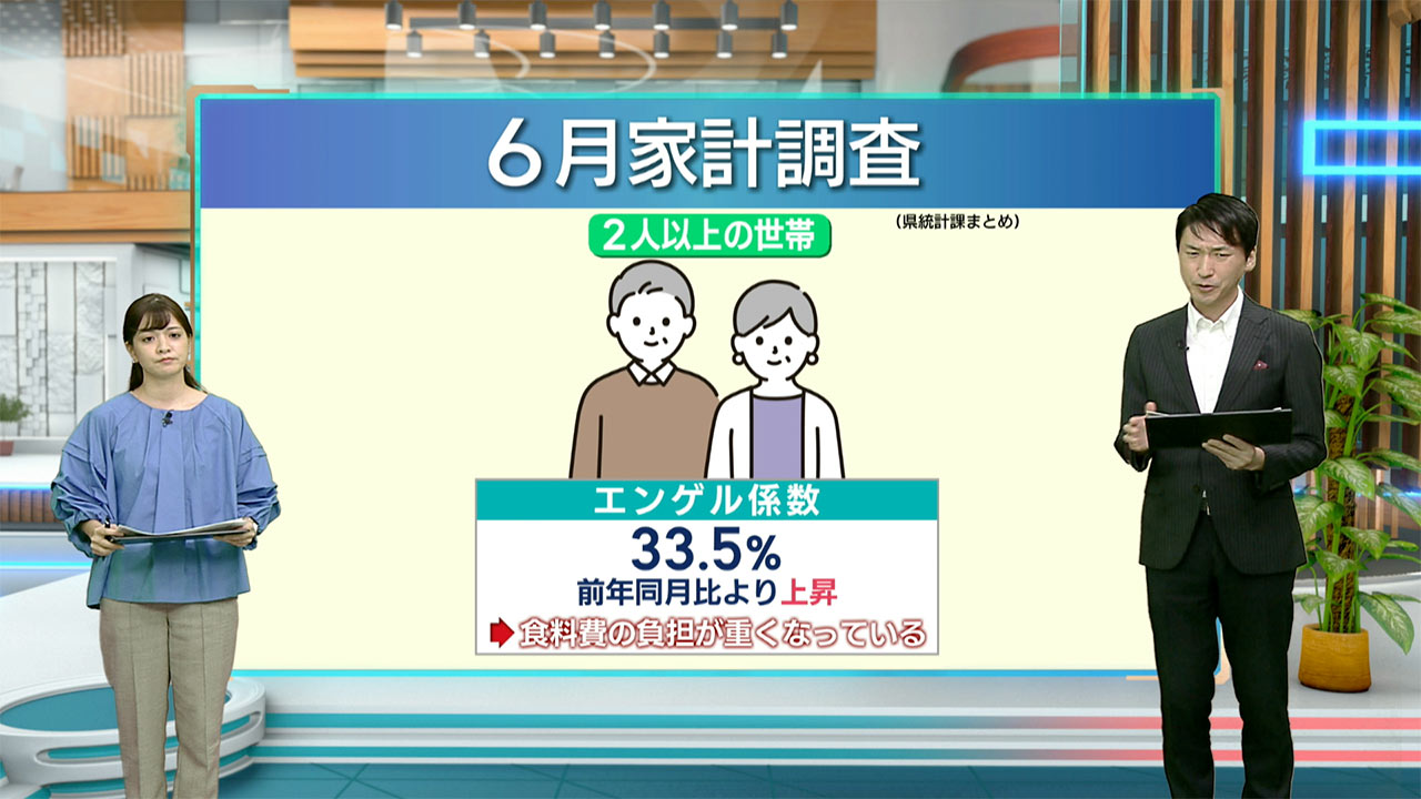 6月の家計調査／ビジネスキャッチー