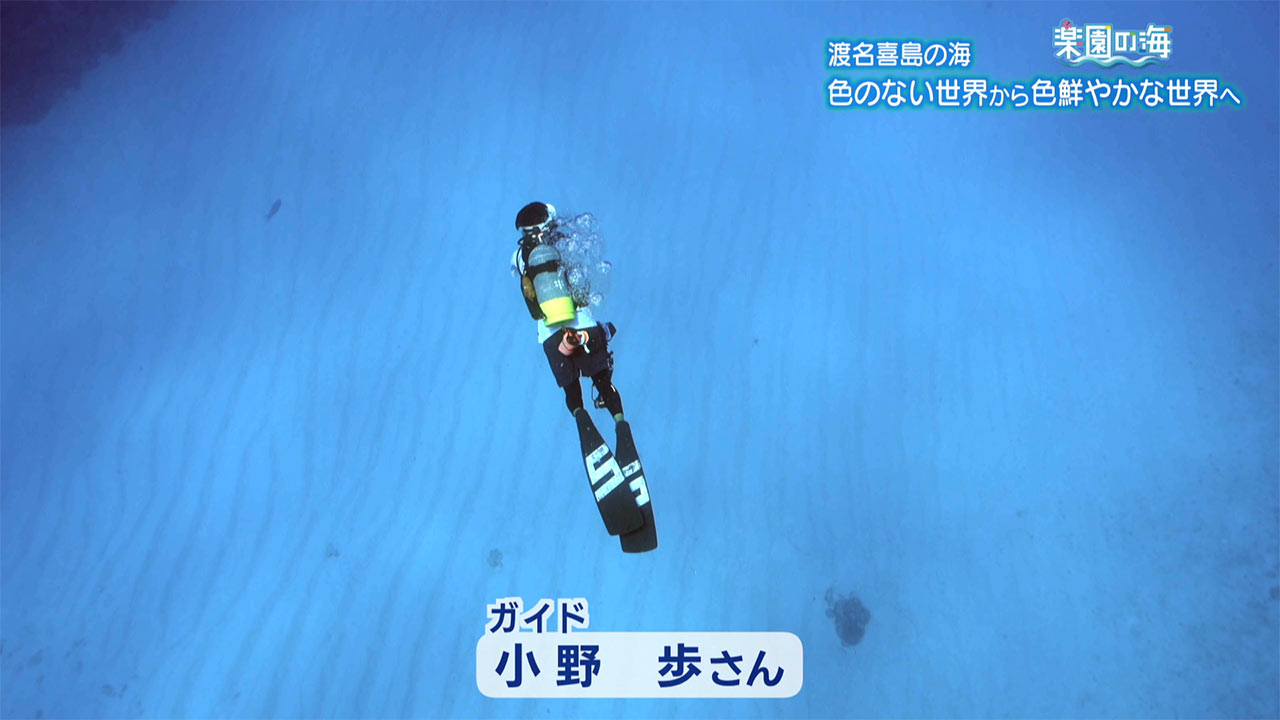 楽園の海　渡名喜島の海 ～色のない世界から色鮮やかな世界へ～