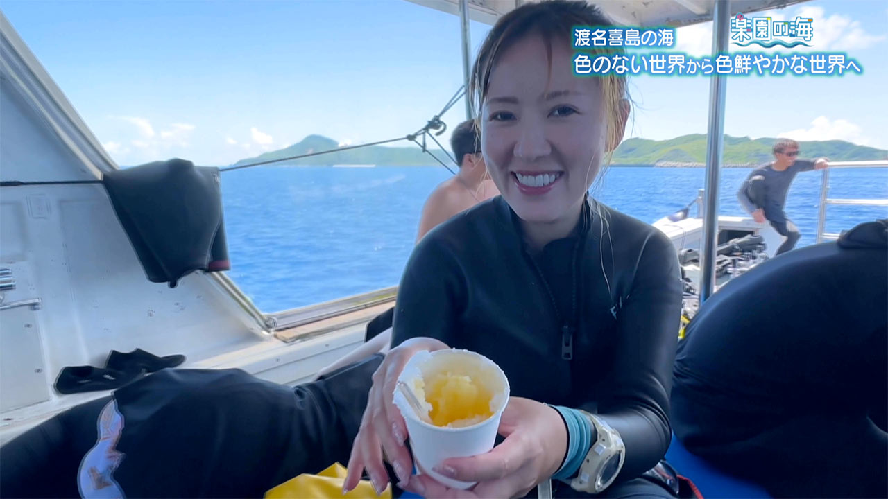 楽園の海　渡名喜島の海 ～色のない世界から色鮮やかな世界へ～
