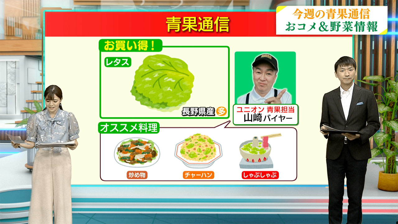 青果通信　新米はもう少し待って！　おすすめ野菜はレタス!!／ビジネスキャッチー