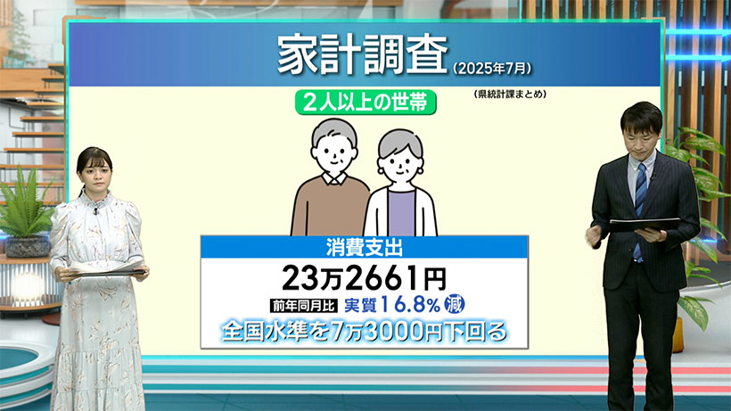 ７月の家計調査／ビジネスキャッチー