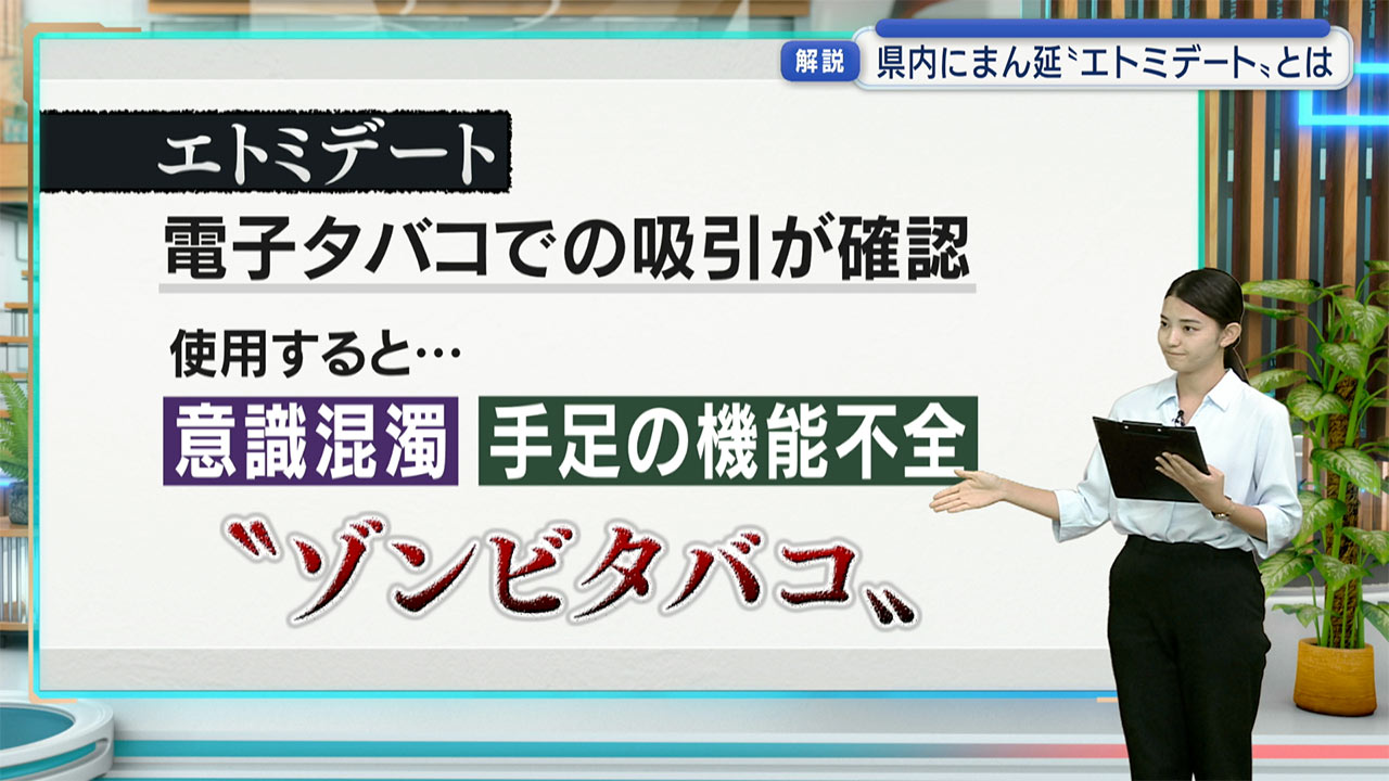 MDMA使用した男の初公判/起訴内容を認める/エトミデート所持は不起訴処分