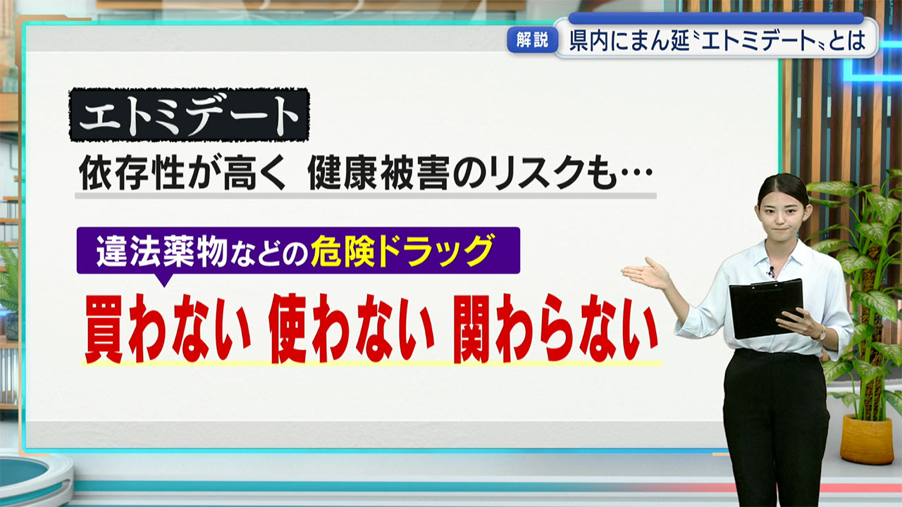 MDMA使用した男の初公判/起訴内容を認める/エトミデート所持は不起訴処分