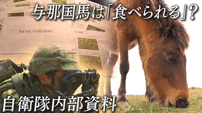 【資料全文公開】与那国馬は「食べられる」？／陸自内部資料で記載／識者「有事に食料化も」／作成部隊は否定