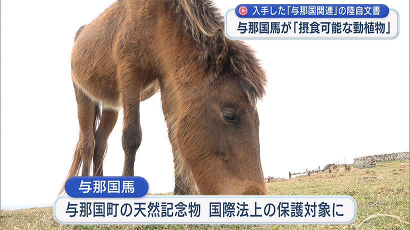 【資料全文公開】与那国馬は「食べられる」?/陸自内部資料で記載/識者「有事に食料化も」/作成部隊は否定