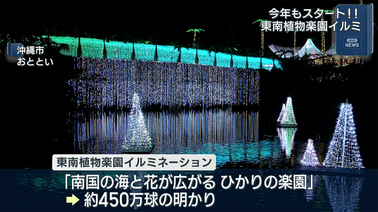 東南植物楽園でイルミネーション点灯式