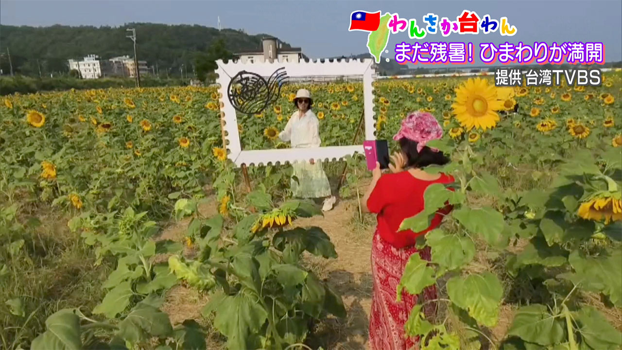 わんさか台わん 季節の食やハロウィーングルメ