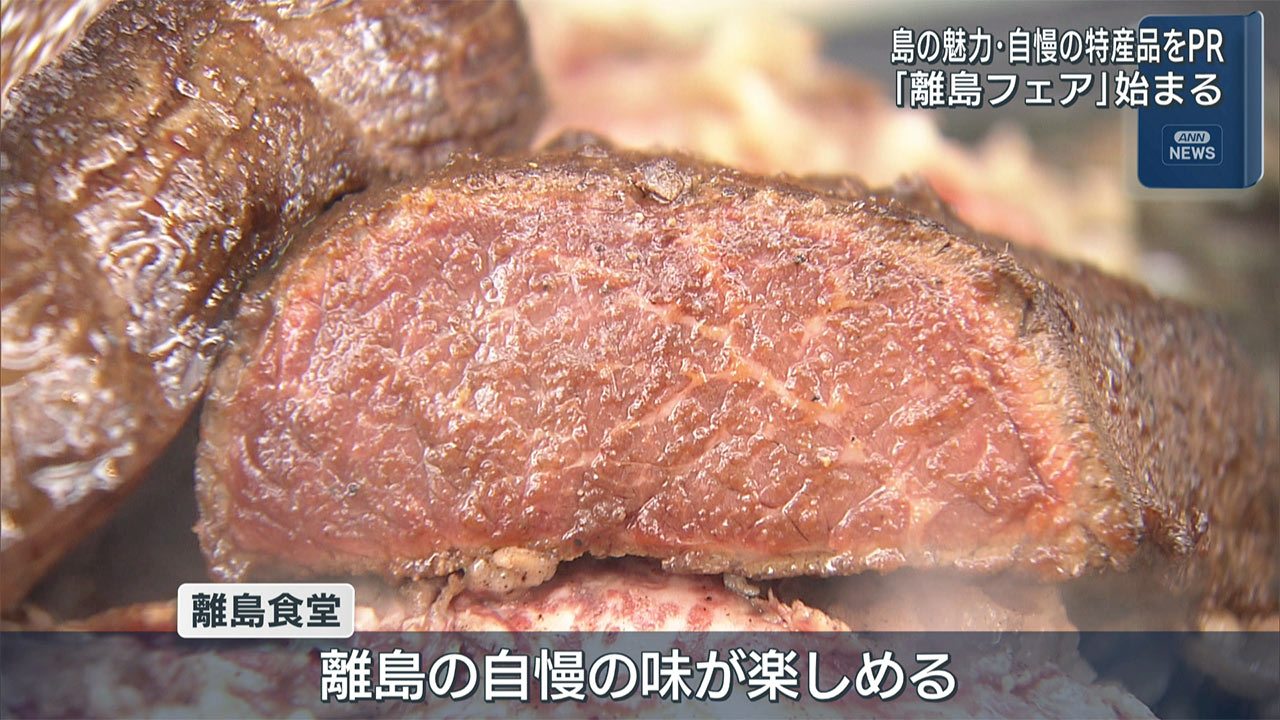 県内の離島の魅力発信　個性豊か「離島フェア」始まる