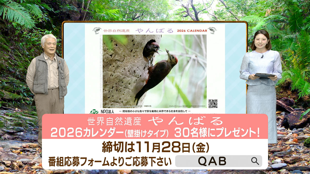 リュウキュウの自然 マダラチョウの活動と気候変動