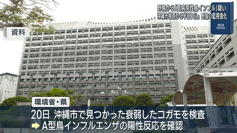 衰弱の野鳥から高病原性鳥インフル疑い 環境省など監視を強化