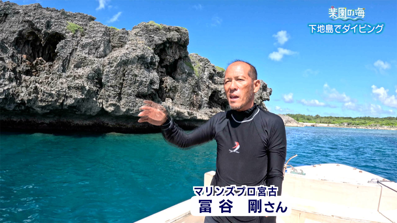 楽園の海 下地島でダイビング