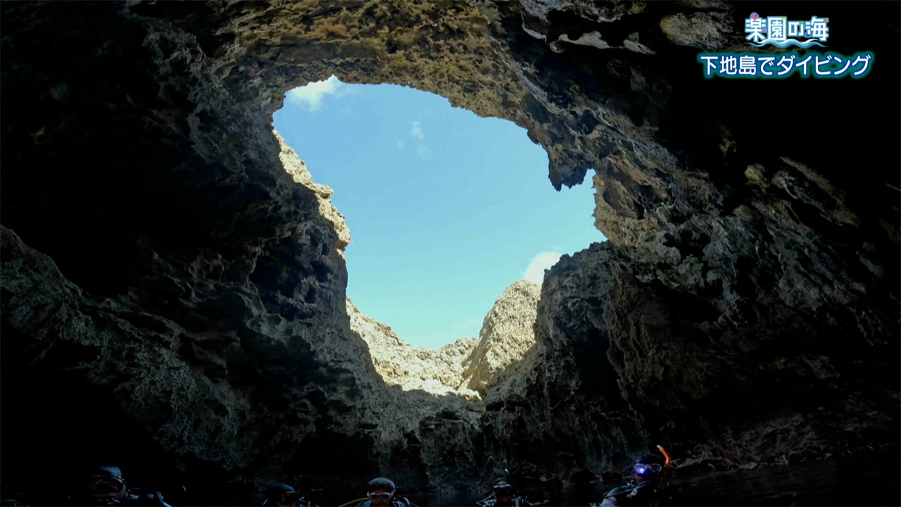 楽園の海 下地島でダイビング
