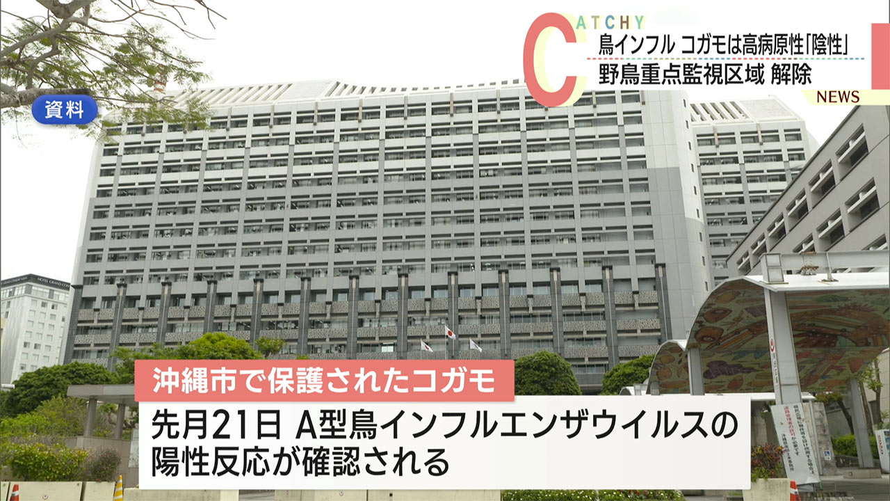 高病原性は陰性　Ａ型鳥インフル確認のコガモの個体