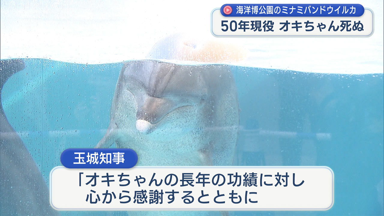 海洋博公園のアイドル　ミナミバンドウイルカのオキちゃん死ぬ