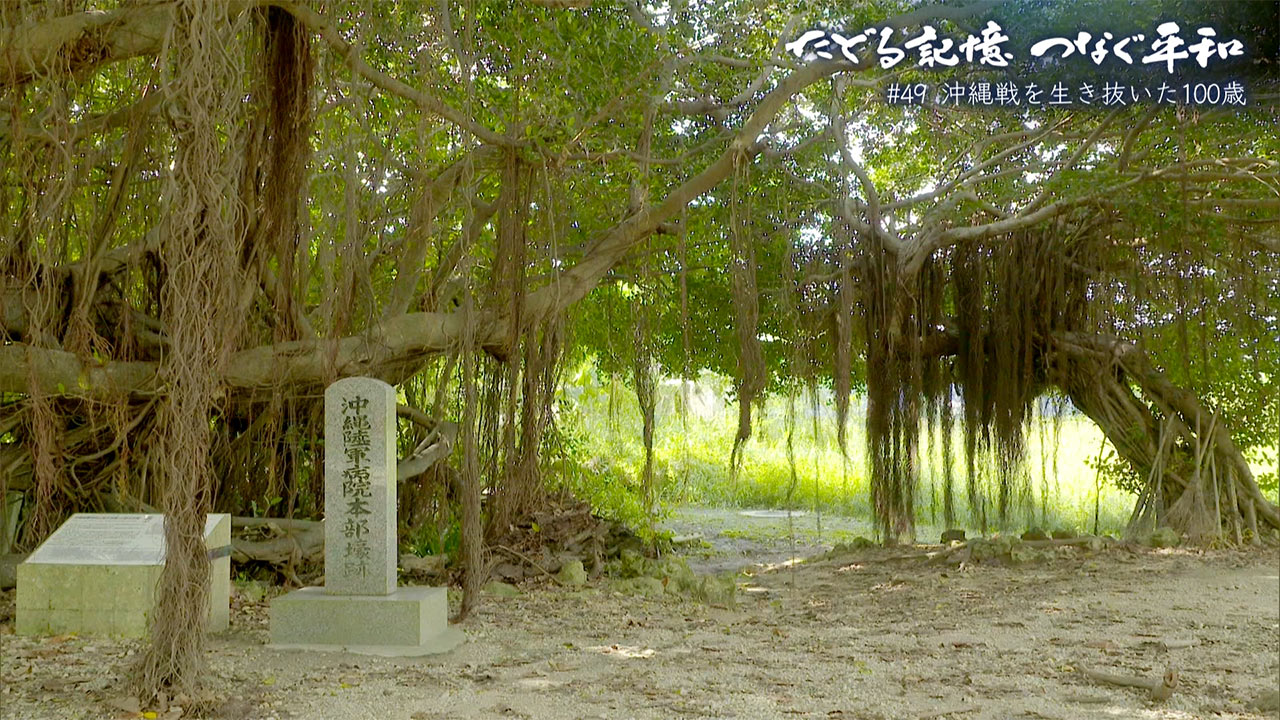 たどる記憶・つなぐ平和#48「沖縄戦を生き抜いた100歳」