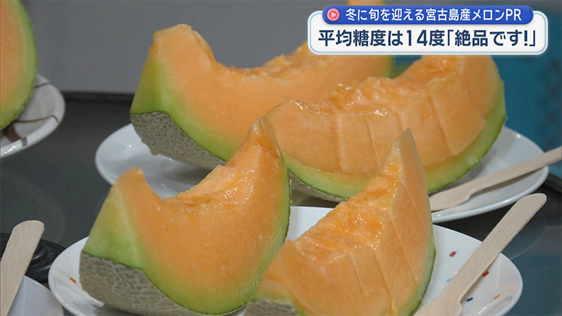 島の駅 旬の宮古島産メロンPR