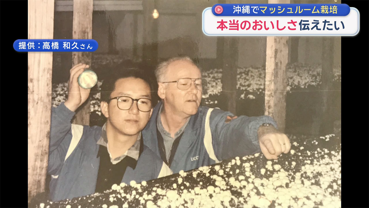 県産マッシュルームを広めたい! 栽培に奮闘するマッシュルーム生産者