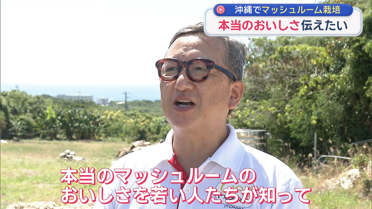 県産マッシュルームを広めたい! 栽培に奮闘するマッシュルーム生産者